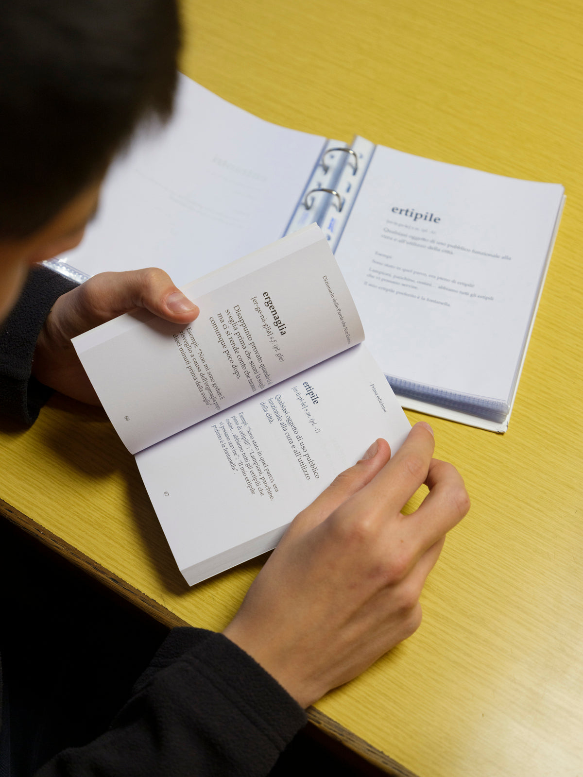 Dizionario delle Parole che Non Esistono