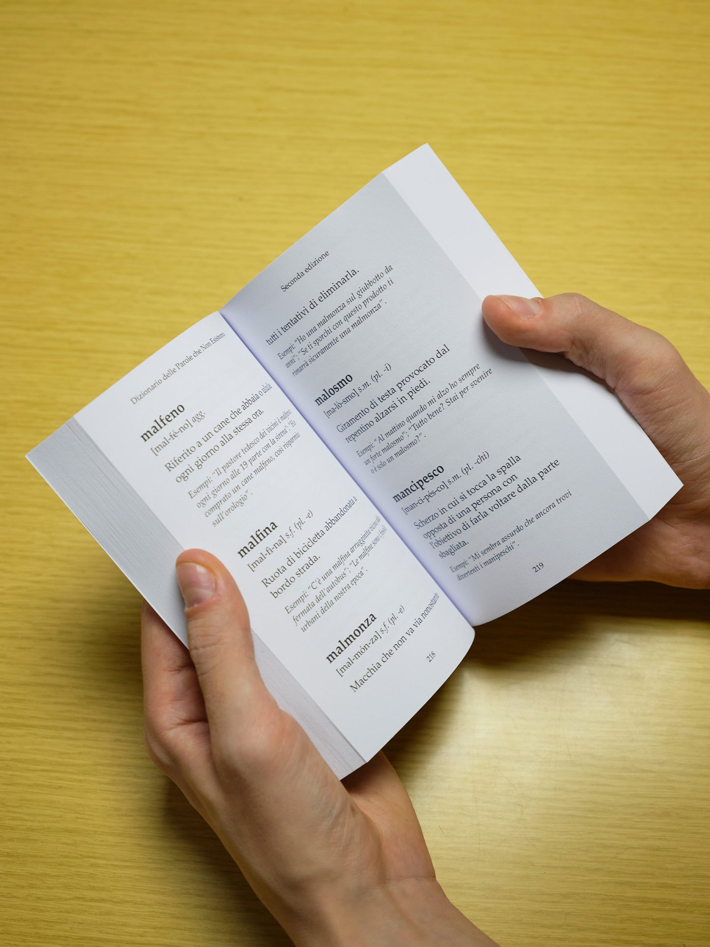 Dizionario delle Parole che Non Esistono - Seconda edizione