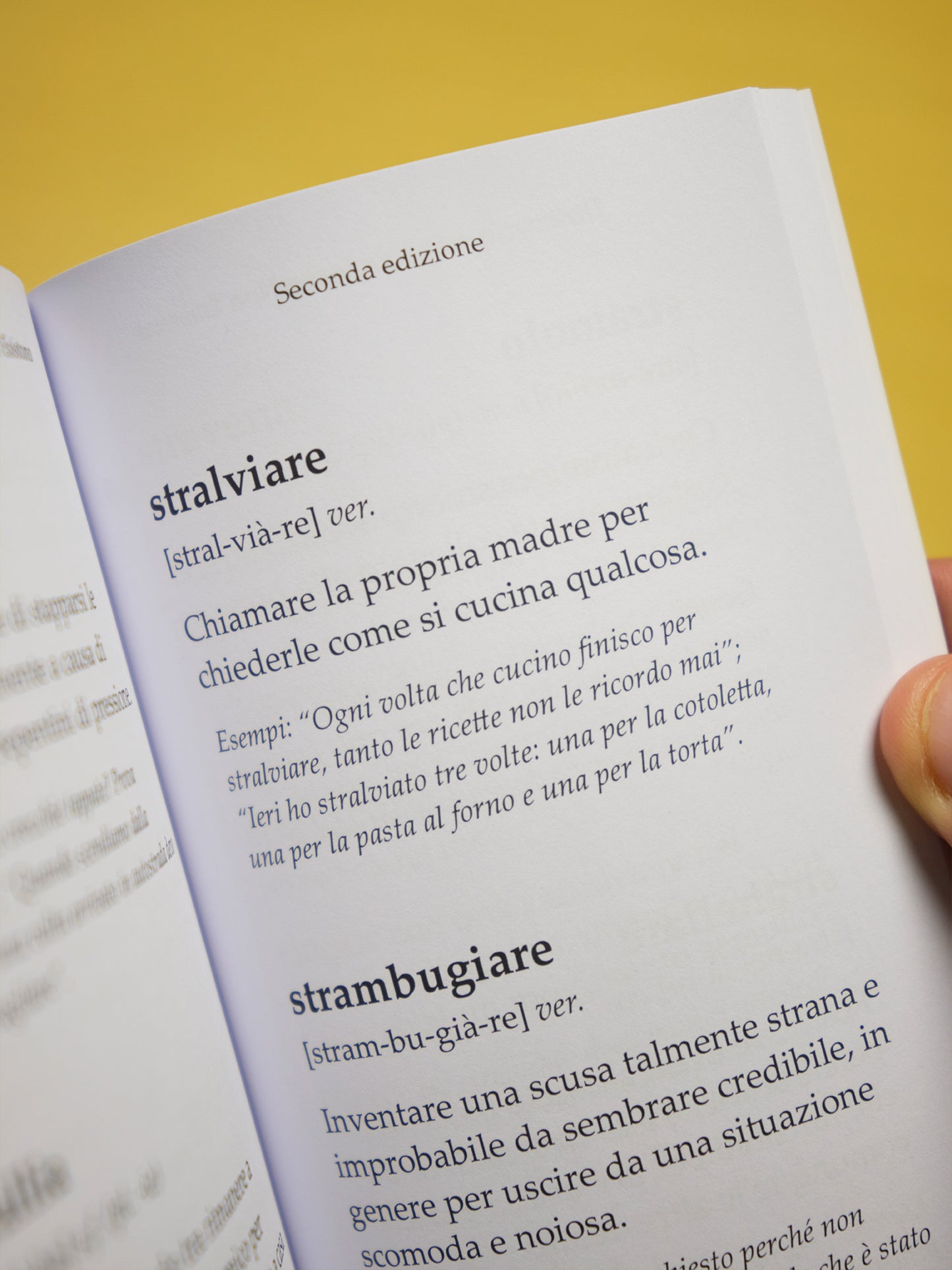 Dizionario delle Parole che Non Esistono - Seconda edizione