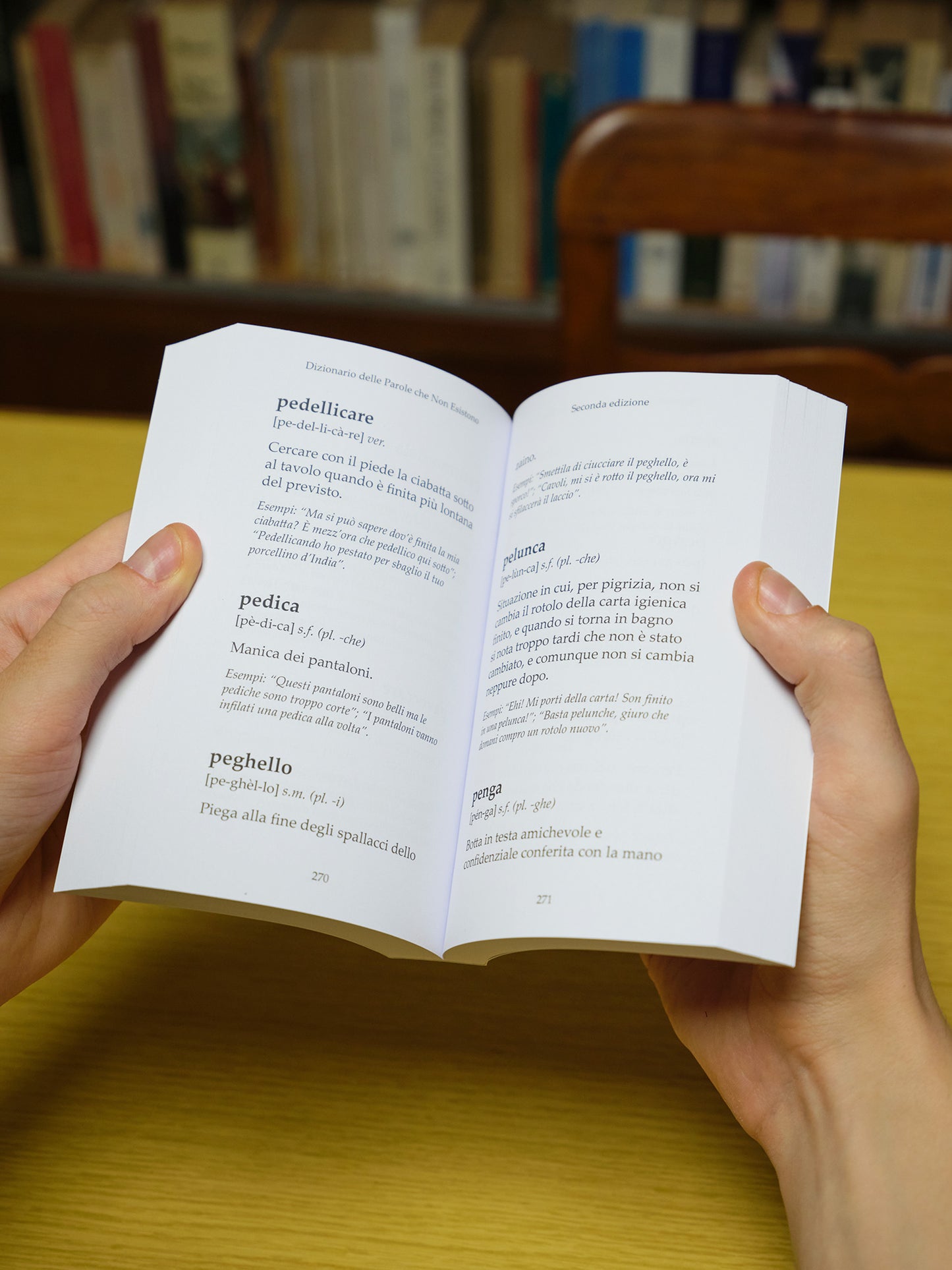 Dizionario delle Parole che Non Esistono - Seconda edizione